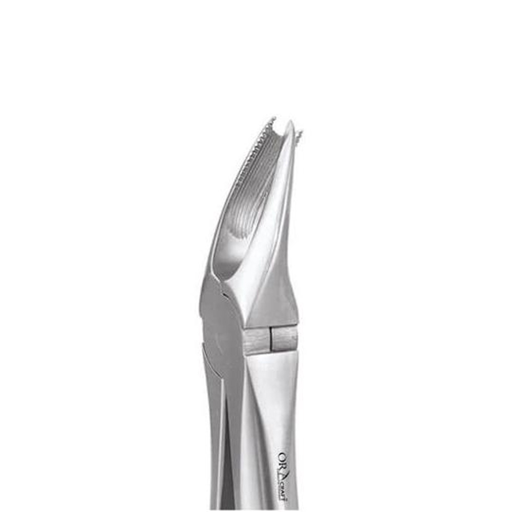 Oracraft Upper Molar Right Extraction Forceps - Standard (FX89S)