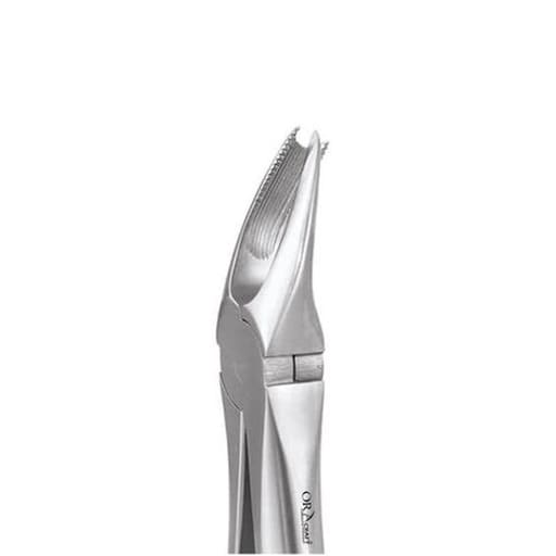 Oracraft Upper Molar Right Extraction Forceps - Standard (FX89S)