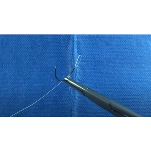 GDC Needle Holder Mathieu-Fine With Ring (14cm) (Nhmfr)