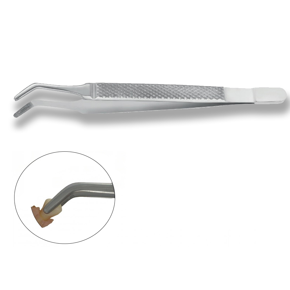GDC Extraction Forceps Albrecht Standard (FXA1)
