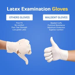 Waldent Latex Premium Examination Gloves (Pack of 80) - 14
