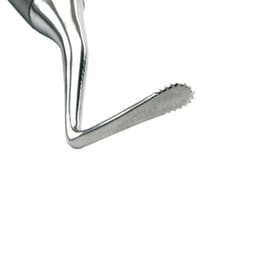 GDC Gingivial Cord Packer Serrated #3 (Gcp113) - 6