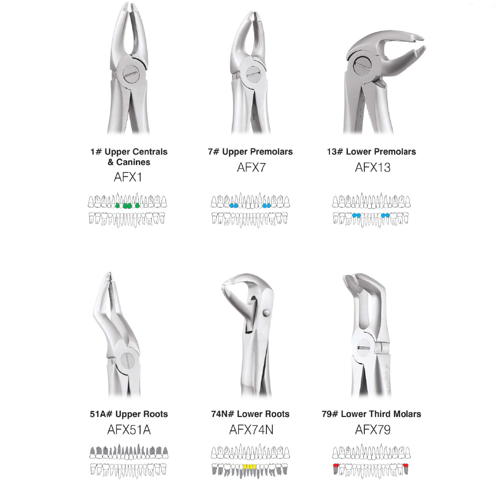 GDC Extraction Forceps Atraumatic