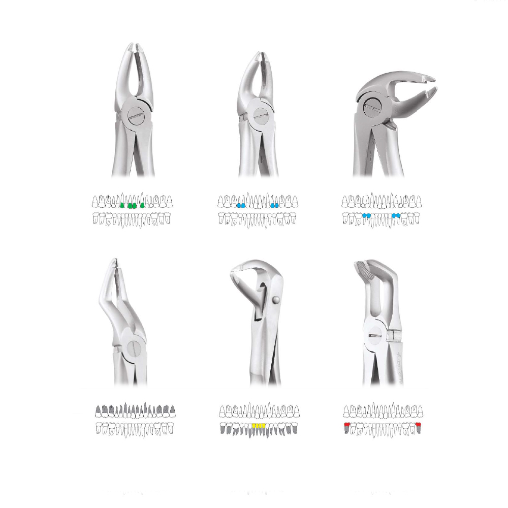 GDC Extraction Forceps Atraumatic