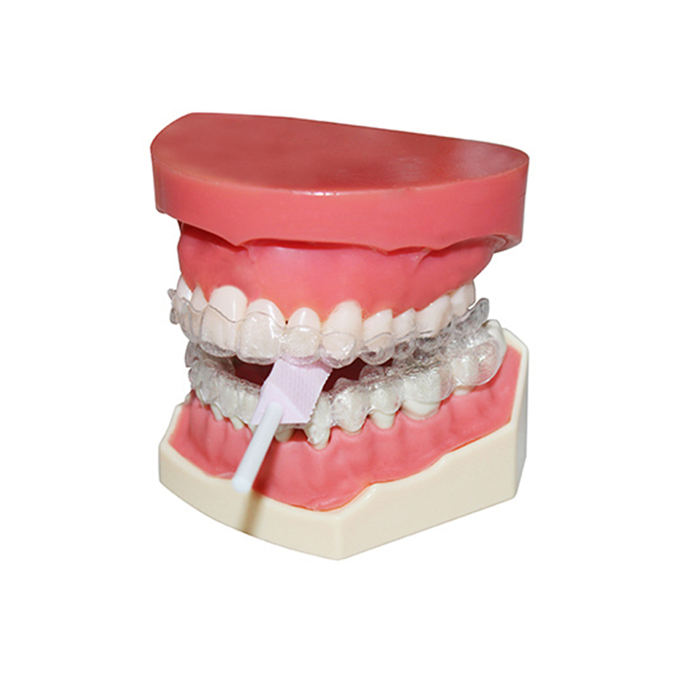 Cotisen Aligner Chewies With Retainer Box