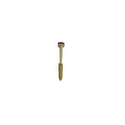 SK Surgicals Titanium Lag Screws - 2mm x 12mm (20012TL) (Pack of 5 )