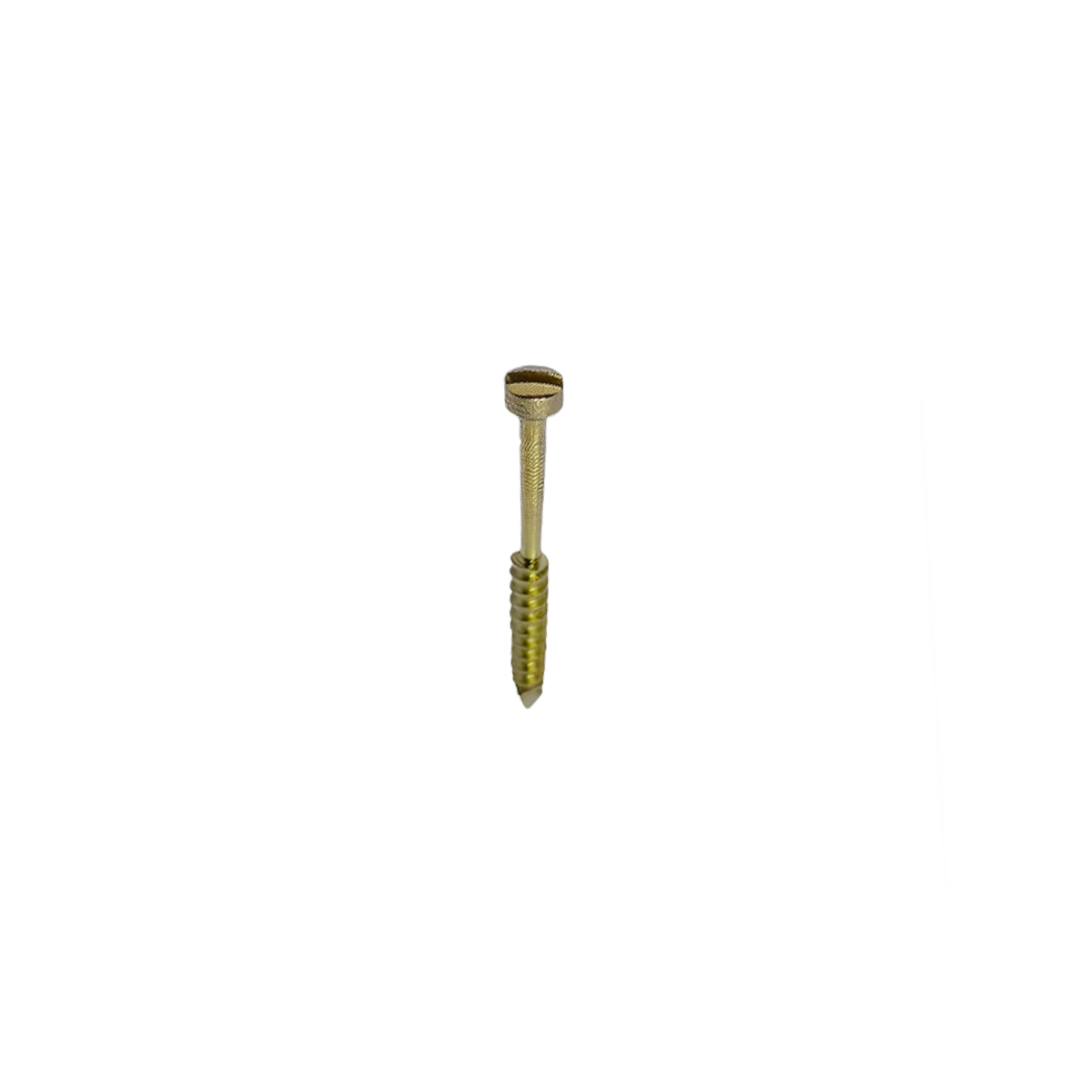 SK Surgicals Titanium Lag Screws - 2mm x 16mm (20016TL)