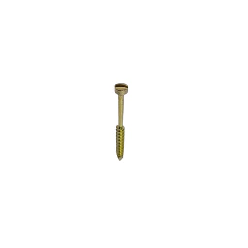 SK Surgicals Titanium Lag Screws - 2mm x 16mm (20016TL) (Pack of 5 )