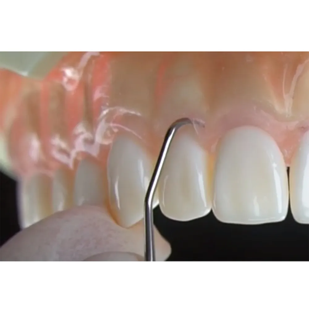 Api+ Gracy Curettes Hollow SS Old