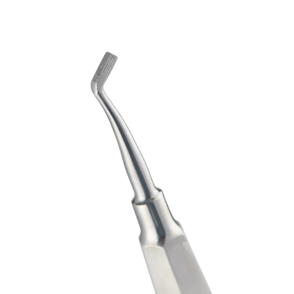 Koden Band Pusher (Euphoria League)