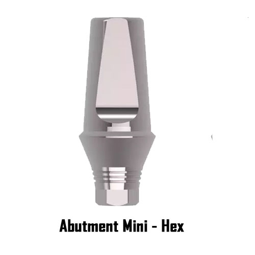 Xcem Dental Implant Transfer Abutment Mini - Hex