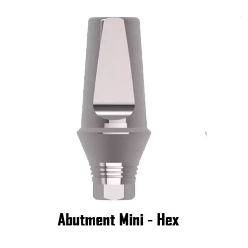 Xcem Dental Implant Transfer Abutment Mini - Hex
