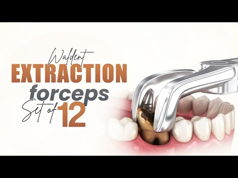 Waldent Extraction Forceps Kit Set of 12 (K1/1)      - 2