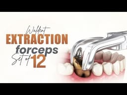 Waldent Extraction Forceps Kit Set of 12 (K1/1)      - 2
