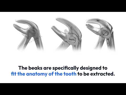 Waldent Pedo Extraction Forceps Kit Set of 7 (K1/2) - 2