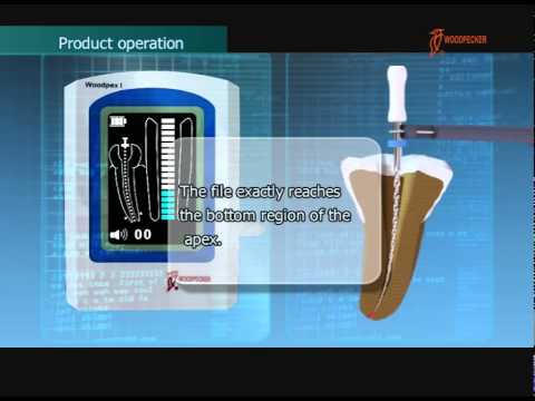 Woodpecker Apex Locator Accessories - 2