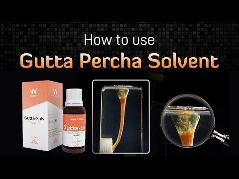 Waldent Gutta - Solv - 3