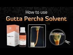 Waldent Gutta - Solv - 3