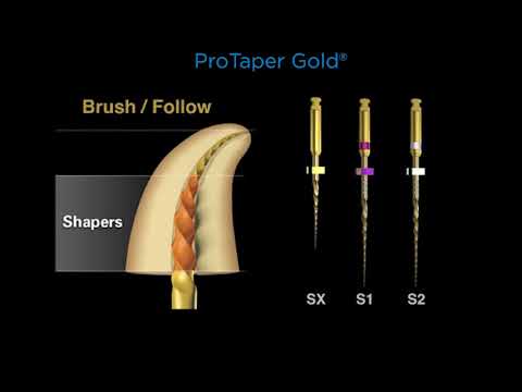 Dentsply Protaper Gold Rotary Files 25mm - 2