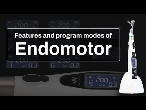 Waldent EndoPro LED All-In-One Endomotor Accessories - 2