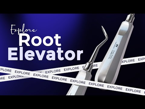 Waldent Root Elevator Instruments Kit Set of 11 K2/4 - 2