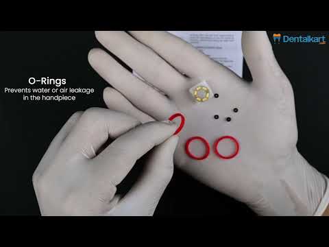 Waldent Ultrasonic Scaler Handpiece - 2