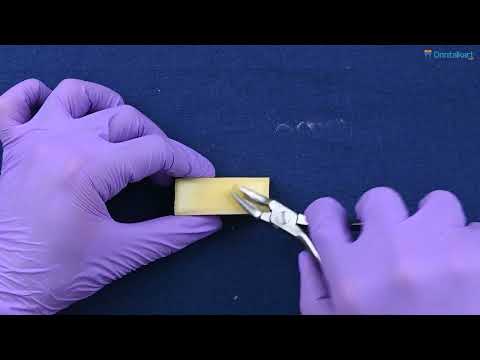 Waldent Bone Rongeurs - 2