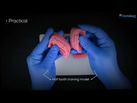 iDENTical Dental Educational Suture Model	 - 2