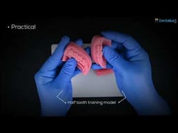 iDENTical Dental Educational Suture Model	 - 2