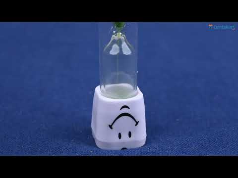 iDENTical Dental Brushing Timer - 3 minutes - 2