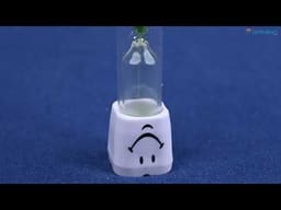 iDENTical Dental Brushing Timer - 3 minutes - 2