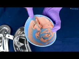 Waldent Rigid Spatula For Mixing Plaster & Alginate - 2