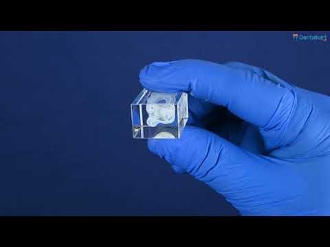 iDENTical Crystal Key Chain (3009) - 2