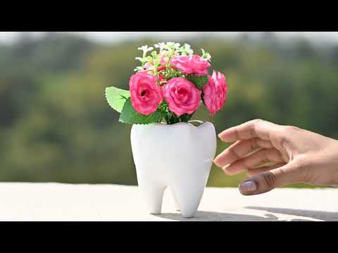 iDENTical Tooth shaped Flower Pot - MD-118 White - 2