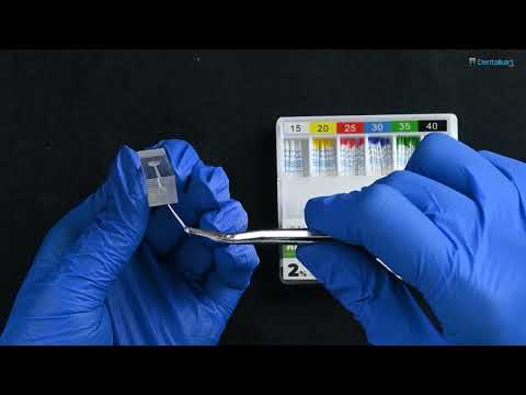 Waldent Paper Points Protaper (Length Marked) #F1-F3 - 2