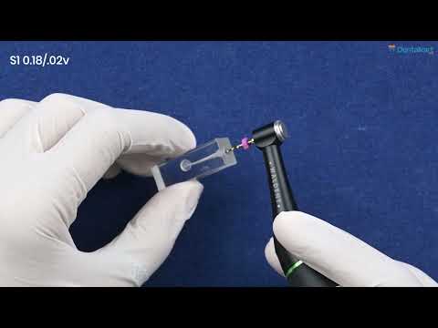 Waldent Premium Taper Gold Rotary Files - 21mm - 2