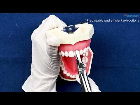 Waldent Atraumatic Extraction Instruments Forceps Kit Set of 6 - Coarse Serrations K1/5 - 2