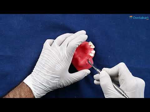 Waldent Periosteal Elevator Molt No.9 (9/108) - 2