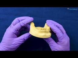  iDENTical Mandibular Implant Practicing Model M2028 - 2