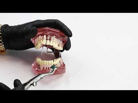 Waldent Temporary Crown Removing Pliers (21/104) - 2