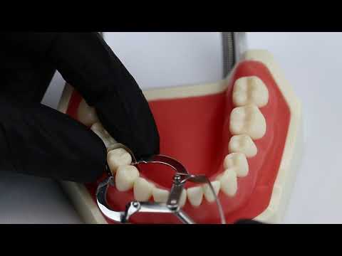 Waldent Matrix Retainer - Ivory No. 1 (8/106) - 2