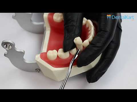 Waldent Luxators Set of 9 (K11/3) - 2