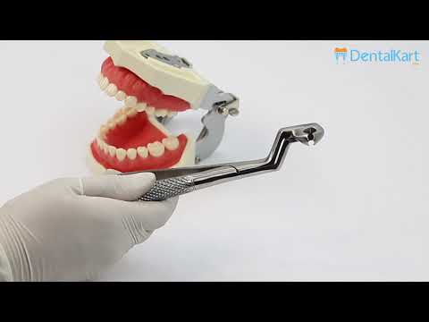 Waldent Tooth Extraction Forceps Lower Molars & Wisdoms Left No.22-1/2L (1/129) - 2