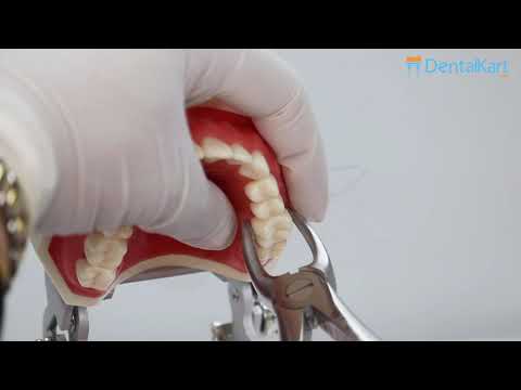 Waldent Tooth Extraction Cowhorn Forceps Upper Molars Left, No.90 (1/116) - 2