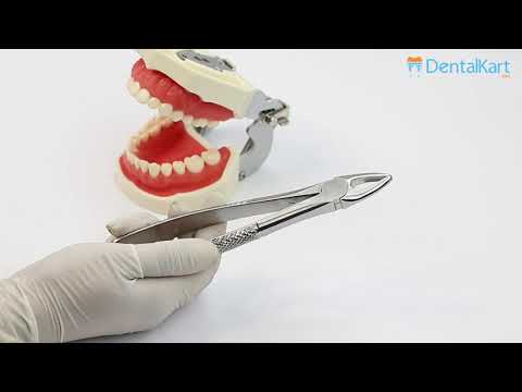 Waldent Tooth Extraction Forceps Upper Roots & Incisor, No.29 (1/117) - 2