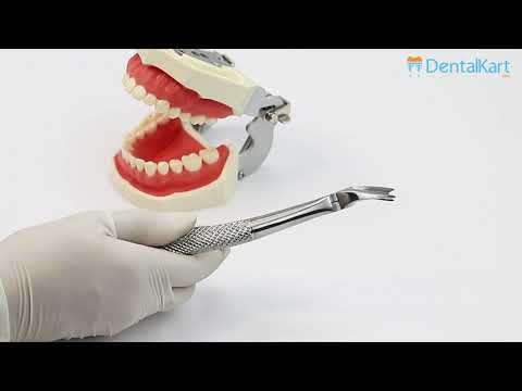 Waldent Tooth Extraction Cowhorn Forceps Upper Molars Right No.89 (1/115) - 2