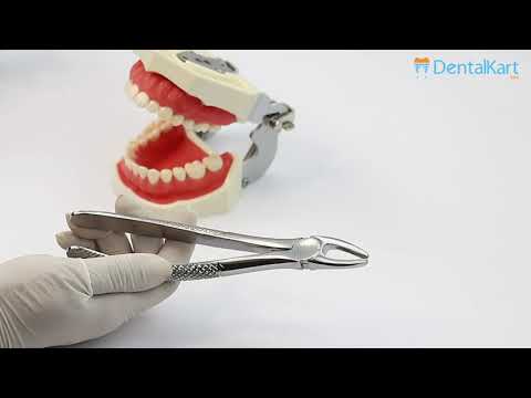 Waldent Tooth Extraction Forceps Upper Premolars, No.7 (1/102)  - 2