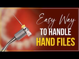 SuperEndo Endodontics Files Holder Pack of 1 - 2
