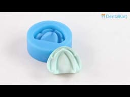 iDENTical Complete Edentulous Cast Moulds -Blue M8018 - 2