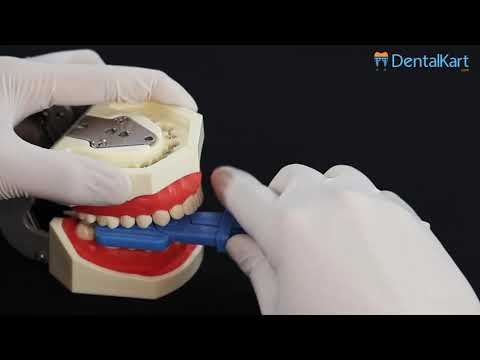 Cotisen X-Ray Film Holder - 2